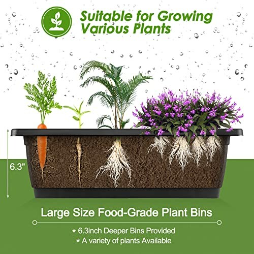 Large plant bin with visible roots of carrot, palm, and flowers.